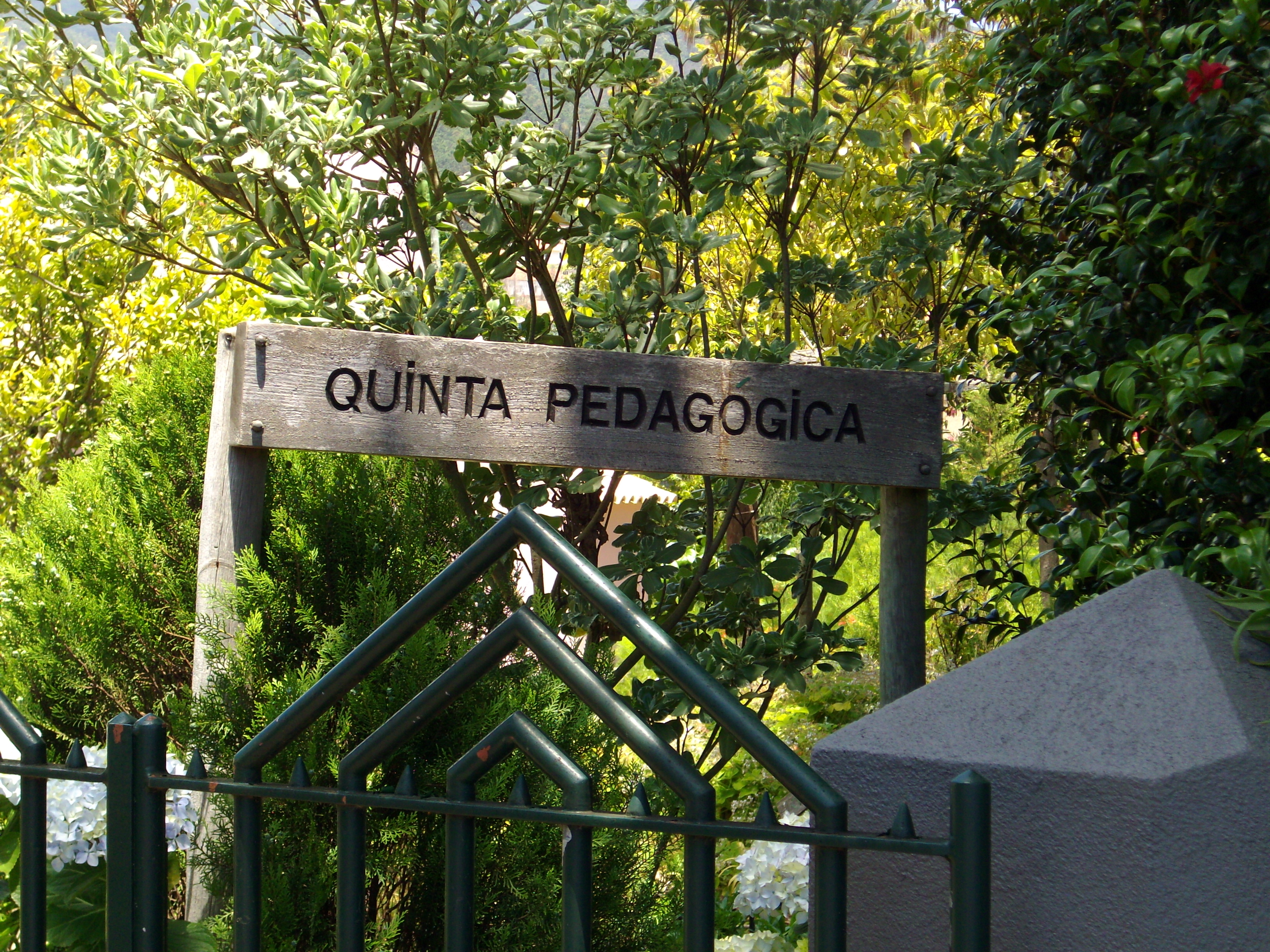 Quinta Pedagogica