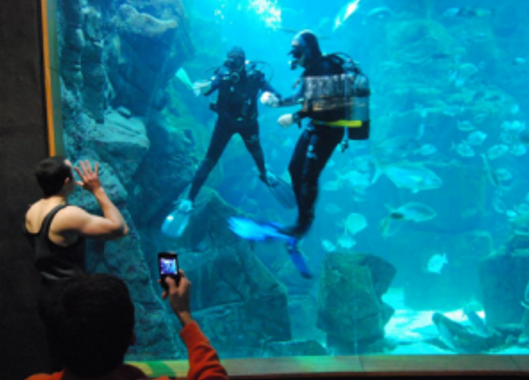 Acquario Porto Moniz