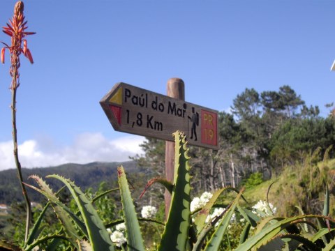 Paul do Mar
