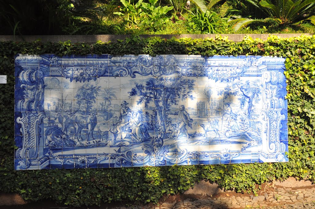 Azulejo (Jardim tropical)