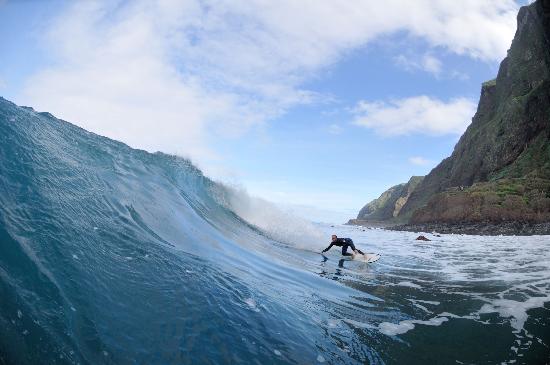 Surf
