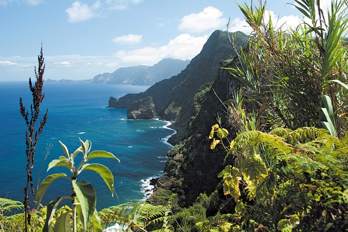 Vista panoramica