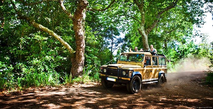 Promenade en Jeep