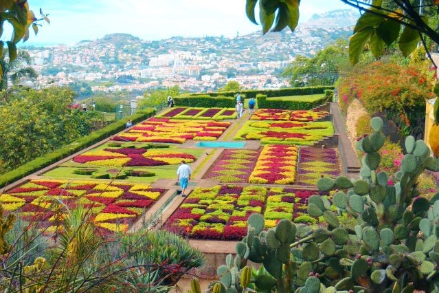 Quintas et Jardins (Botanique & Tropical)
