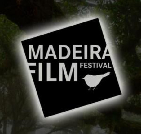 Festival International du Film (Novembre)